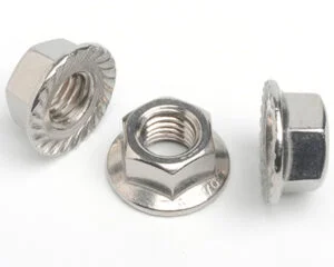 Stainless Steel Flange Hex Nut